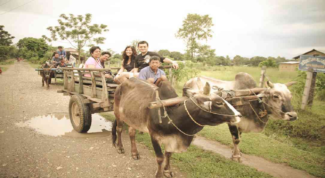 Bullock Cart Ride in the village